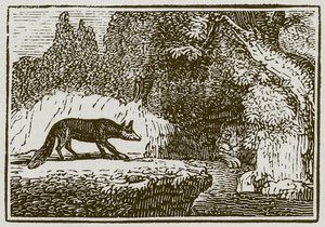 De vos en de zieke leeuw (gravure) door English School