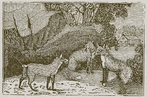De vos zonder staart (gravure) door English School
