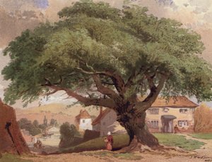 De grote es, scène in Surrey door English School