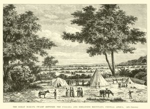 Het Grote Makata-moeras tussen de Usagara- en Simbaweni-bergen, Centraal-Afrika door English School