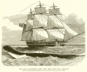De Grote Zeeslang toen voor het Eerst Gezien vanaf H.M.S. Daedalus door English School