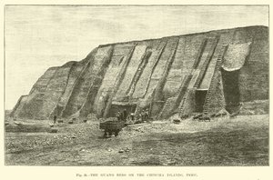 De guano-bedden op de Chincha-eilanden, Peru