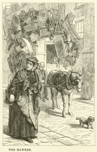 De havik (gravure)