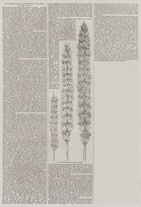 De Internationale Tentoonstelling, Hallett