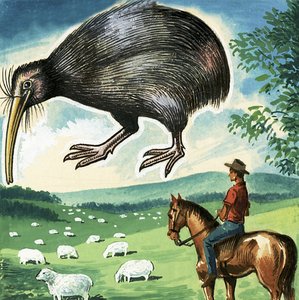De Kiwi, embleem van Nieuw-Zeeland door English School