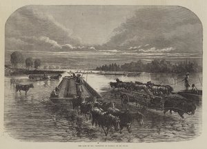 Het land van olie, transport van vaten op Oil Creek (gravure) door English School