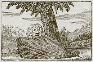 De leeuw en de muis (gravure) door English School