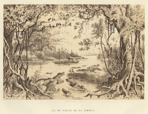 De Ma-Robert op de Zambezi door English School