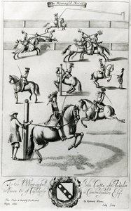 Het beheerde paard, uit 