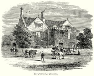 De pauw in Rowsley (gravure) door English School