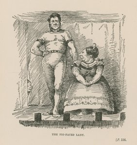 De Varkensgezicht Dame