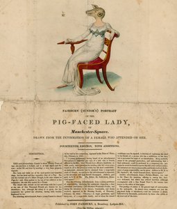 De Varkensgezicht Dame van Manchester Square, Londen