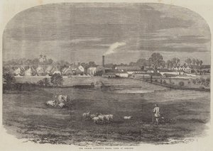 Het Modelboerderij van de Prins-Gemaal in Osborne