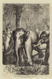 De Prins van Wales op jacht in de Terai, de Gevangen Monarch
