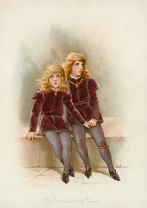 De prinsen in de toren