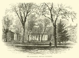 De Binnenplaats, Harvard University door English School