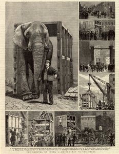 De verhuizing van Jumbo