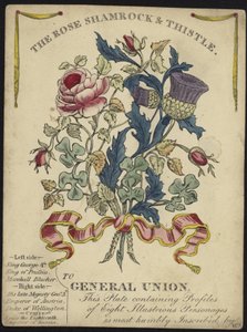 De Roos, Shamrock en Distel voor Algemene Unie (kleurgravure)