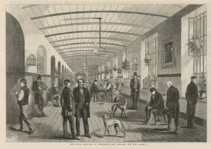Het Koninklijk Ziekenhuis van Bethlehem - de galerij voor mannen