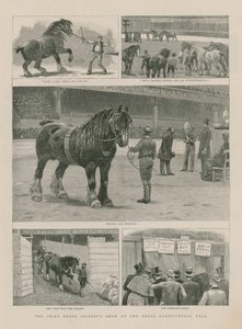 De show van de Shire Horse Society in de Royal Agricultural Hall