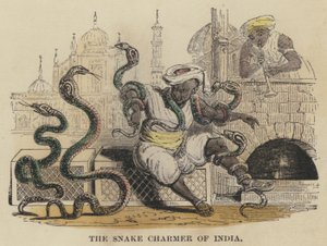 De slangenbezweerder van India (gekleurde gravure) door English School
