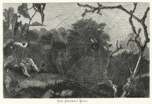 Het werk van de spin (gravure) door English School