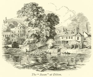 De Zwaan bij Ditton door English School