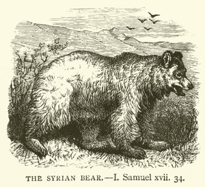 De Syrische Beer, I Samuel, xvii, 34 (gravure)