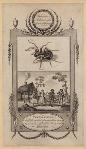 De tarantula, met de methode om degenen die door hem gestoken zijn te genezen, wat wordt bereikt door muziek en dans (gravure) door English School