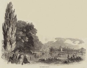 De Thames Regatta (gravure)