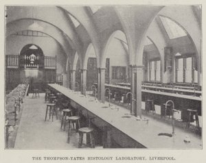 Het Thompson-Yates Histologie Laboratorium, Liverpool door English School