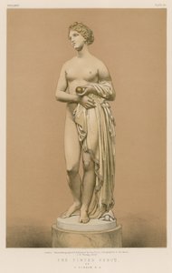 De Getinte Venus door J Gibson, R A door English School