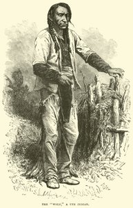 De Wolf, een Ute-indiaan