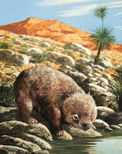De Wombat