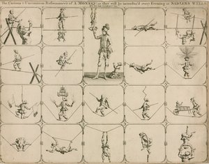 De curieuze en ongewone voorstelling van een aap zoals elke avond geïntroduceerd bij Sadlers Wells door Signor Spinacuta