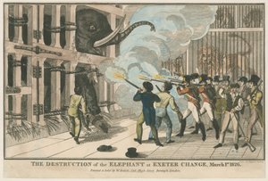 De vernietiging van de olifant bij Exeter Change, 1 maart 1826