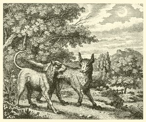 De hond en de wolf (gravure)