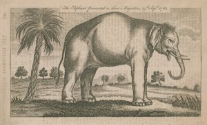 De olifant gepresenteerd aan hun Majesteiten door English School