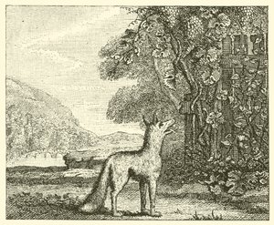 De vos en de druiven door English School