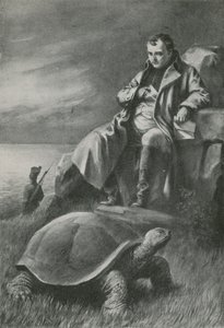 De reuzenschildpad die Napoleon zag