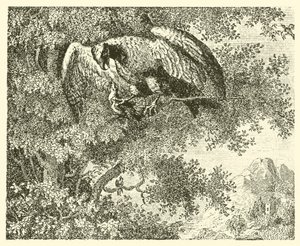 De havik en de nachtegaal (gravure) door English School
