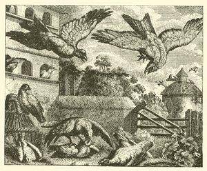 De vlieger en de duiven (gravure)