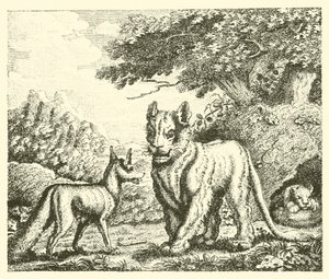 De leeuwin en de vos (gravure)