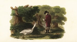 De mannelijke gans Jacquot en zijn menselijke vriend, een Franse heer
