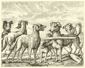 De ondeugende hond (gravure)