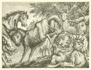 De oude leeuw (gravure) door English School