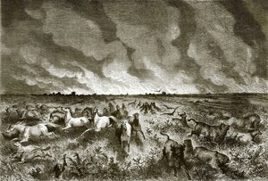 De prairie in brand door English School