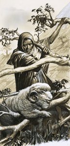 De herders van Bethlehem moesten hun schapen redden toen ze vast kwamen te zitten