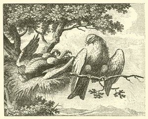 De zieke vlieger (gravure)