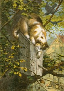 De spreeuw en zijn nest, en de kat